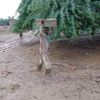 A homeless boy carrying his belongings to a safe place In rain 2022