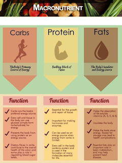 Fungsi-macro-nutrient-carbs-protein-fats
