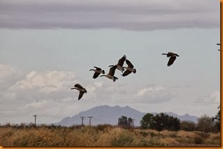 IMG_1483
