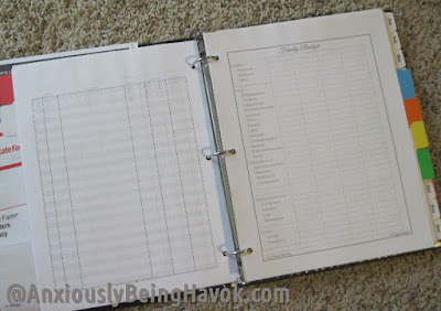 Home Management | Anxiously Being Havok