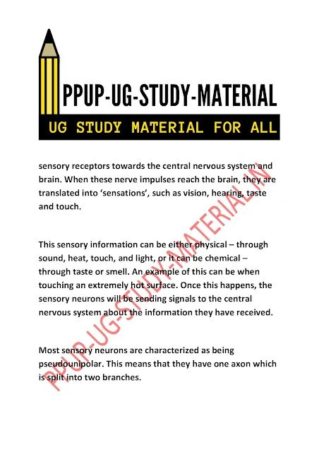 Neurons - Anatomy, structure, and Kind of Neurons | ppup part 1 psychology subsidiary ug study material download pdf