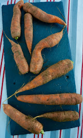 Fanny Cradock Carrot Salad