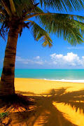 Tropical BeachiPhone 4 Wallpaper. Resolution: 640x960 (wall )