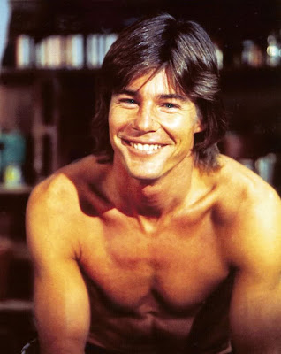 Jan-Michael Vincent  picture