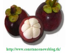 mangosteen