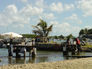 LACN - voyage - guadeloupe