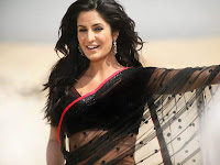 bollywood actress in hot saree photos+actressinhotsareephotos.blogspot.com