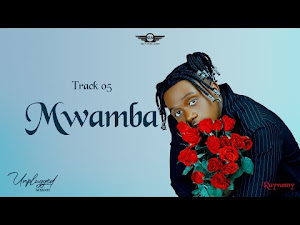 VIDEO = Rayvanny - Mwamba _ djmbu.com