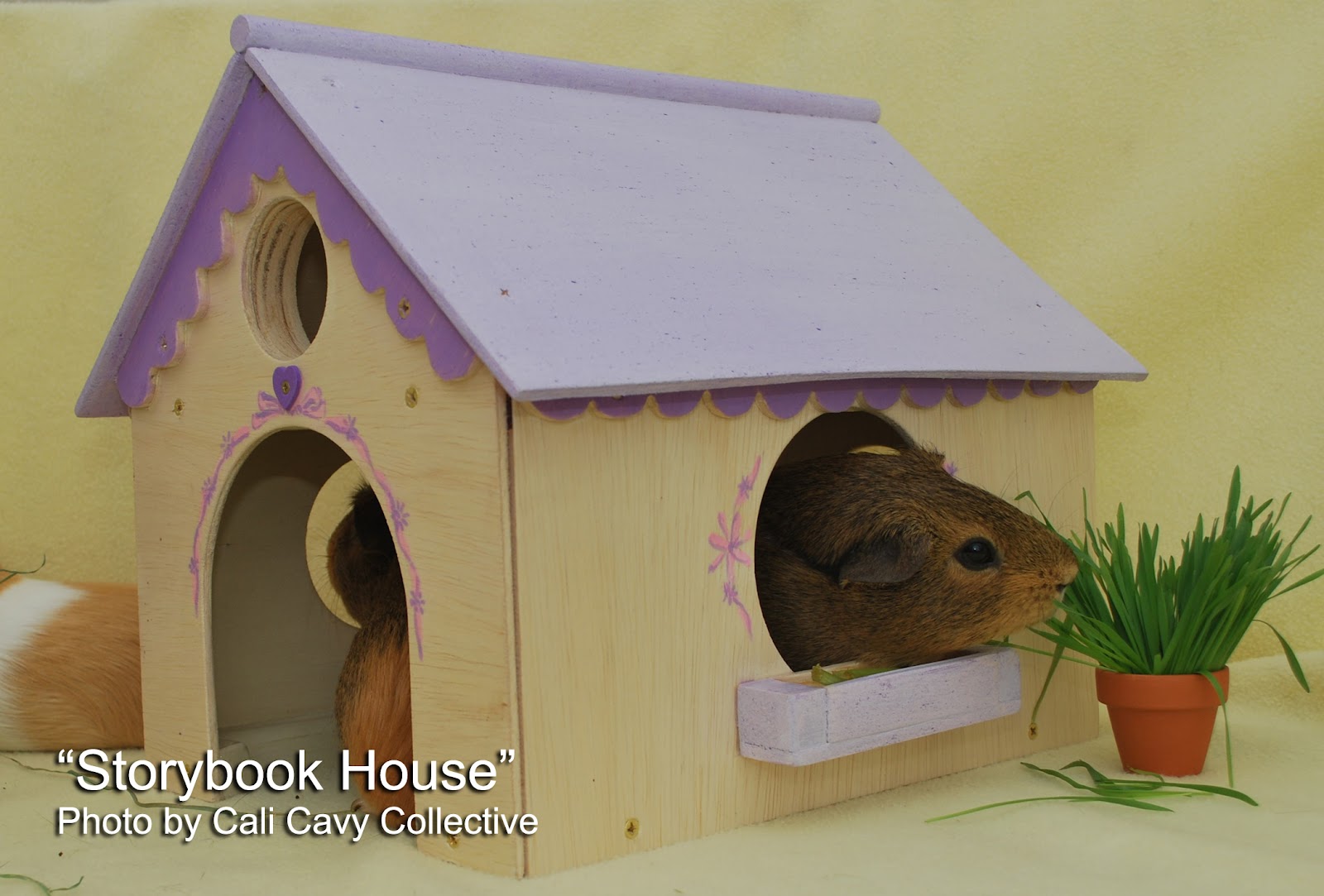  blog about all things guinea pig: Wooden "Storybook" guinea pig house