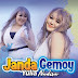 Lirik Lagu Yulia Nadiva - Janda Gemoy