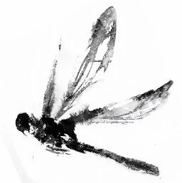Lilébula, poesía argentina