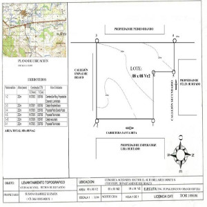 DIGITALIZACION DE CU-1 Y PARCELARIOS (URBANA Y RUSTICA  DE CATASTRO) +(34) 675829986
