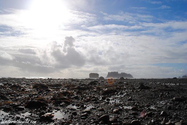 Olympic National Park