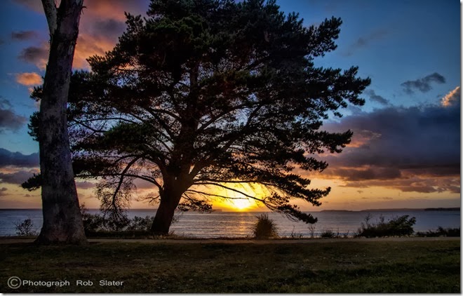 bay-rise-dec-2013