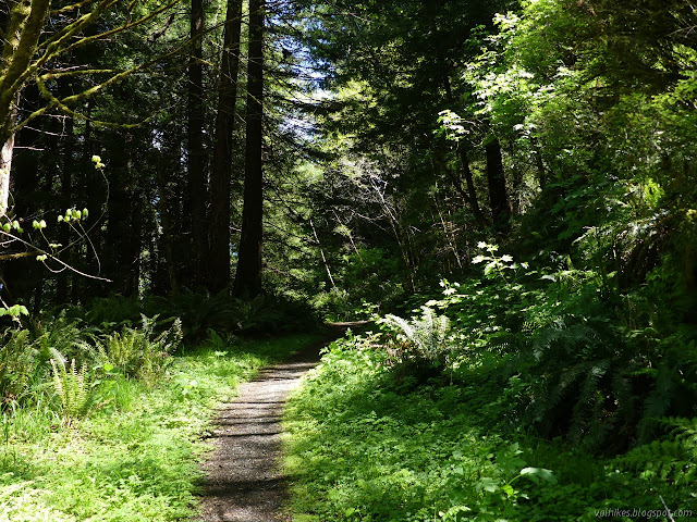 trail along old road