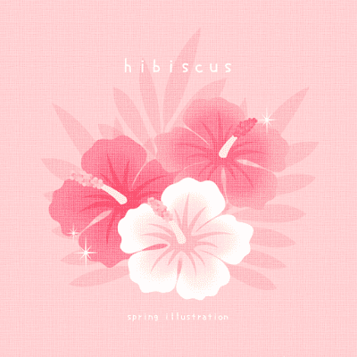 【ハイビスカス】夏の花のおしゃれでシンプルかわいいイラスト