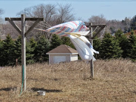 laundry on line