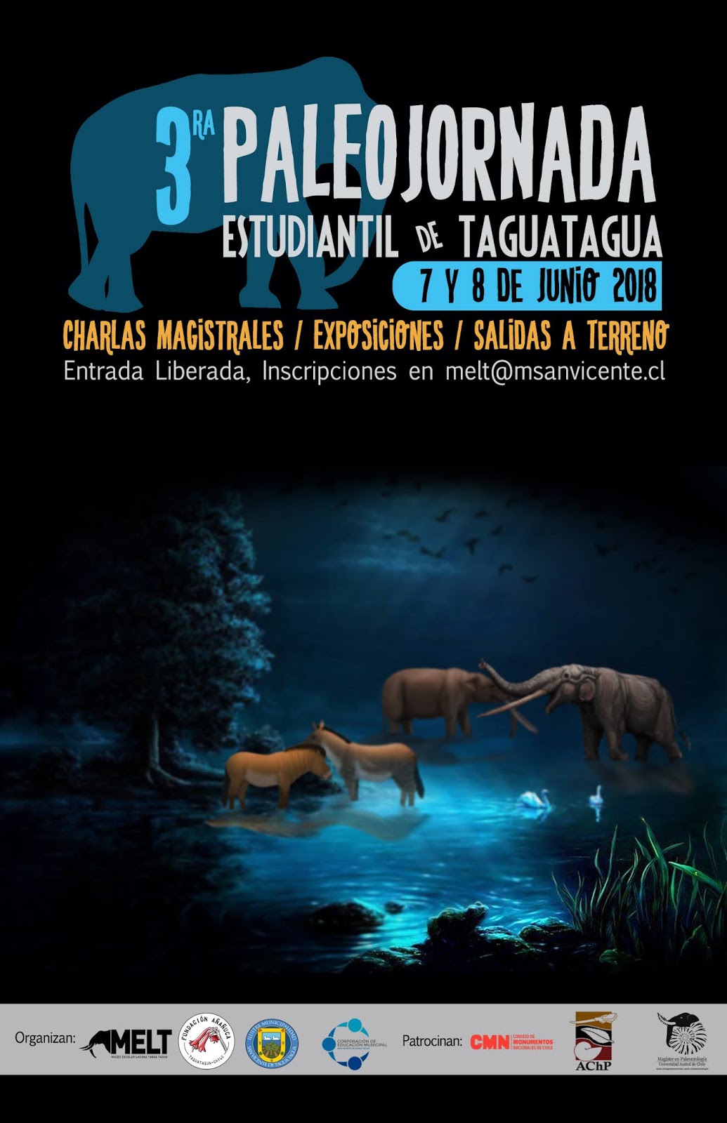Afiche 2018