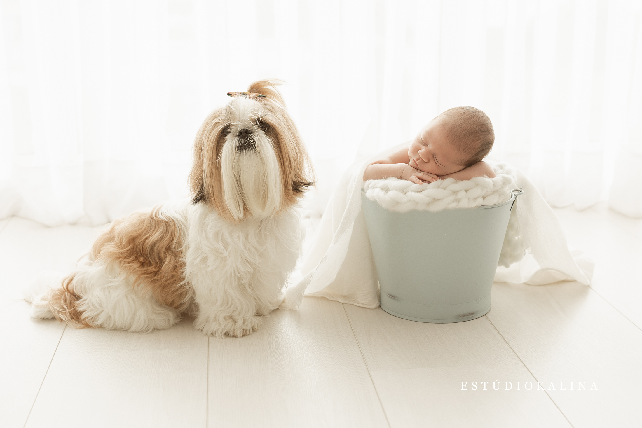 Ensaio newborn com cachorro