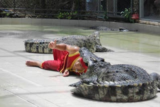 Phuket Zoo Thailand