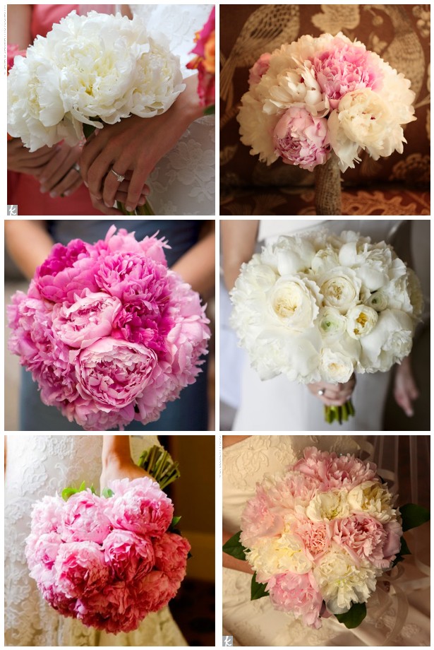 We decided that I will carry a bouquet of the dark pink fuchsia peonies