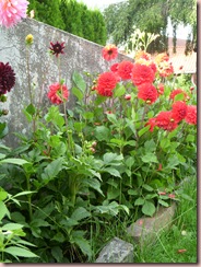 DSCN8201