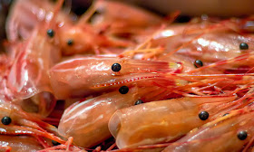 http://advocate.gaalliance.org/goal-shrimp-production-survey-recovery-coming/