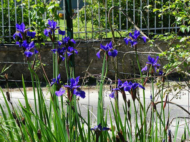 Photograph Susan Walter. Tour the Loire Valley with a classic car and a private guide.