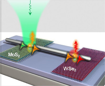  Este é o esquema do multiplexador, com uma entrada e duas saídas. O acoplamento mais-menos indica os excitons. [Imagem: IBS]  Luz na matéria  Engenheiros coreanos construíram três componentes-chave para a viabilização de processadores que usam luz em vez de eletricidade.  Além disso, os três componentes combinam as vantagens da eletrônica tradicional com a nova fotônica, tudo na mesma plataforma.  Usar a luz dentro dos processadores é bom porque ela é muito mais rápida do que a eletricidade, mas é também complicado porque o comprimento de onda da luz é enorme em relação aos componentes ultraminiaturizados da eletrônica atual - enquanto a dimensão de um transístor está na casa dos 20 nanômetros e caindo rápido, o comprimento de onda da luz está na faixa dos 500 nanômetros.  Conversão da luz  A solução é controlar a propagação da luz diretamente na matéria, mais especificamente em nanofios metálicos dentro dos chips. Para isso a luz é convertida em plásmons de superfície, oscilações conjuntas de elétrons que emergem quando a luz atinge a superfície metálica dos fios, geralmente de alumínio, cobre, prata ou ouro.  Usando os plásmons de superfície, a informação pode ser transmitida quase à velocidade da luz em componentes minúsculos, já que as ondas são geradas na superfície do próprio componente, qualquer que seja seu tamanho.  A equipe do Instituto de Ciências Básicas da Coreia do Sul conseguiu usar este princípio para construir três componentes essenciais para o processamento e a comunicações ópticas: transistores, multiplexadores e detectores de luz. Os componentes foram feitos com um semicondutor emergente, o dissulfeto de molibdênio (MoS2).   A luz é transformada em oscilações de elétrons, que se propagam rapidamente pela superfície metálica. [Imagem: Hyun Seok Lee et al. - 10.1038/ncomms13663]  Os componentes funcionam e se interconectam graças a um fenômeno chamado interconversão plásmon-exciton-plásmon, que pode ser visto na figura.  O transistor óptico foi construído interconectando um nanofio a uma folha de MoS2 (a molibdenita é formada por uma única camada atômica). A luz que atinge o componente é convertida em plásmon de superfície, depois para um exciton, de volta para plásmon de superfície, e então re-emitida como luz com um comprimento de onda mais curto - por exemplo, se a luz de entrada for verde, a luz de saída é vermelha.  A multiplexação de comprimento de onda funciona de forma semelhante, mas em vez de uma única folha de MoS2, foi utilizada uma matriz de três materiais semicondutores 2D diferentes emitindo luz em diferentes comprimentos de onda - uma única luz de entrada (violeta) gera três luzes de saída (azul, verde e vermelha).  Os sinais ópticos que se propagam ao longo do nanofio podem também ser transformados e detectados como sinais elétricos por um detector óptico de sinais, permitindo a conexão da parte fotônica do circuito com circuitos eletrônicos.    Fonte: Hyun Seok Lee et al.     Bibliografia:  Reconfigurable exciton-plasmon interconversion for nanophotonic circuits Hyun Seok Lee, Dinh Hoa Luong, Min Su Kim, Youngjo Jin, Hyun Kim, Seokjoon Yun, Young Hee Lee Nature Communications Vol.: 7, Article number: 13663 DOI: 10.1038/ncomms13663