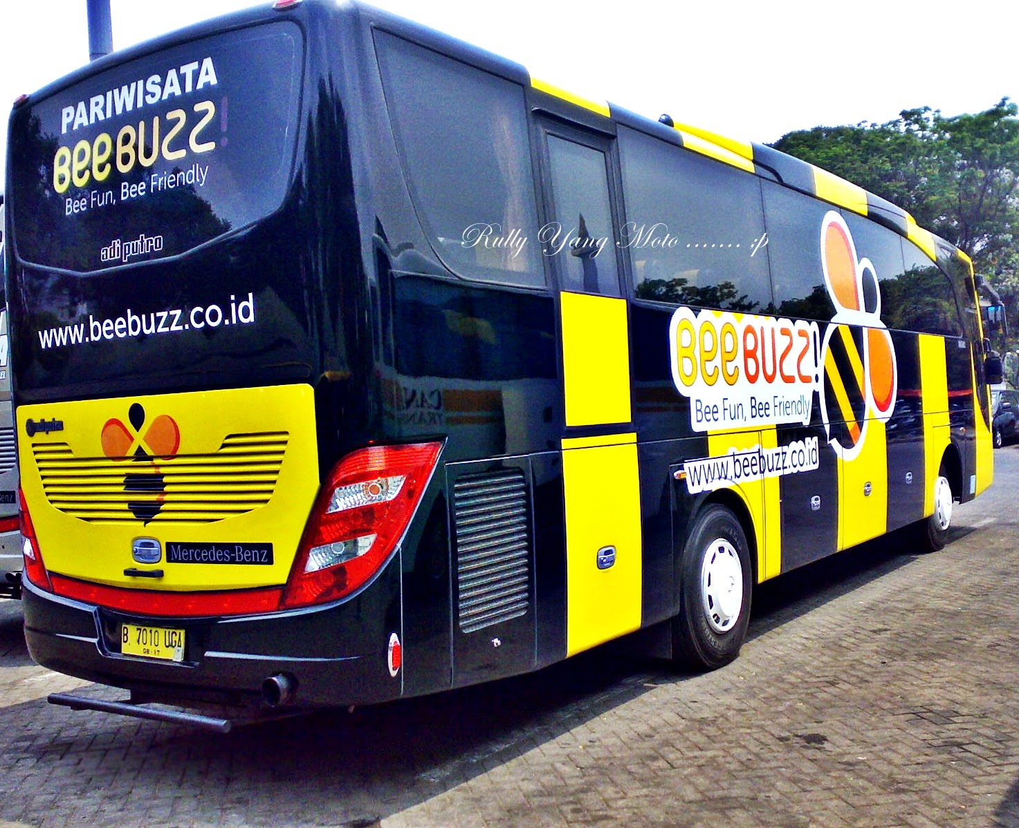 Livery Unyu Lucu Bus Malam AKAP Pariwisata