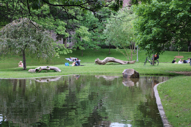 Westmount Park,  Photograph: Shahrzad Ghaffari 