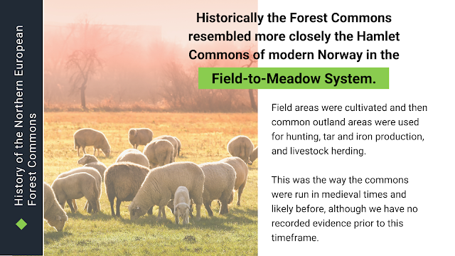 Hearthside Blog, History of the Northern European Forest Commons