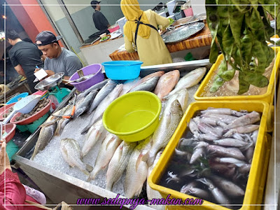 ikan, sotong, udang, ketam, semua fresh-fresh