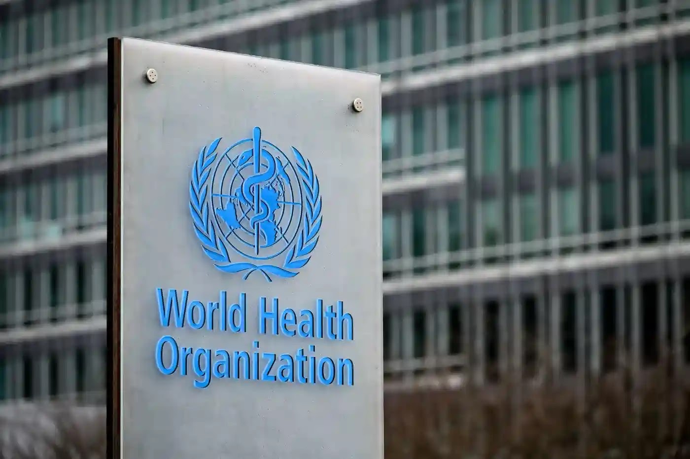 Recrutement Organisation Mondiale de la Santé