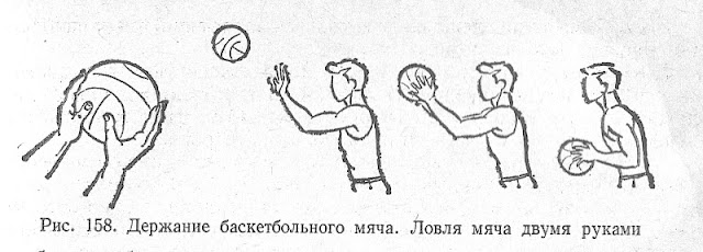 Держание баскетбольного мяча. Ловля мяча двумя руками.