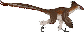 Although there is no real evidence, many paleontologists believe dinosaurs evolved into birds. This claim and powered flight require secular miracles.