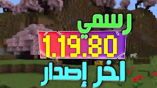 تحميل ماين كرافت 1.19.80