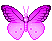 Borboleta (87)