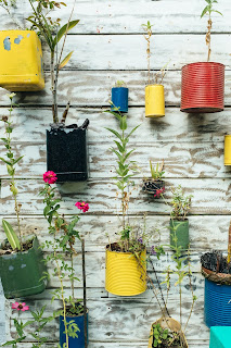 tin cans repurposed into wall hanging with plants Photo by Bernard Hermant on Unsplash