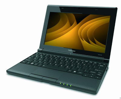 Toshiba NB520-1007N