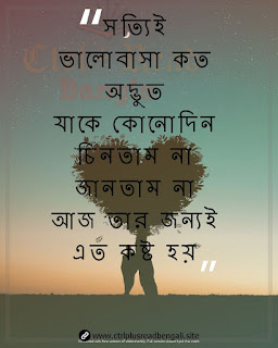 bengali sad love shayari