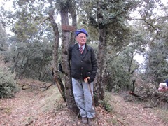 pose daliniana