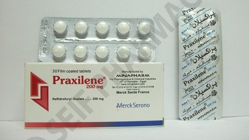 سعر ودواعى أستعمال أقراص براكسيلان Praxilene للدورة الدموية