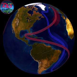 The Atlantic Meridional Overturning Circulation is part of this complex system of global ocean currents that circulates cool subsurface water and warm surface water throughout the world.