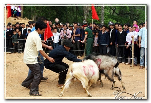 Cảnh Đẹp Việt Nam