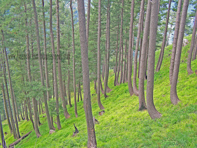 kaghan valley | beautiful places in pakistan