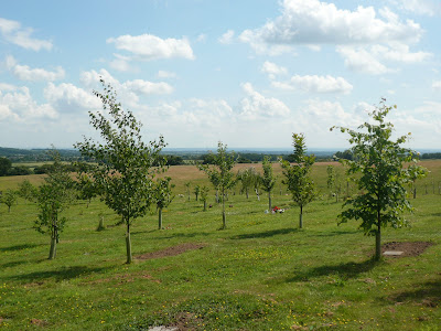 green burial natural cemetery