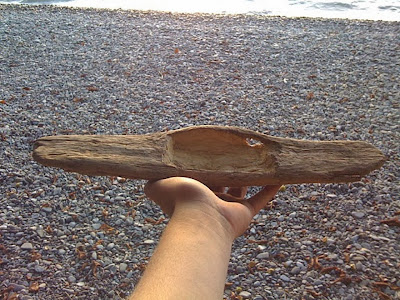 drift wood