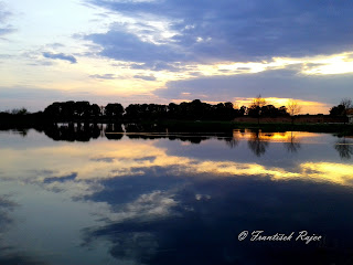 In the evening at the lake