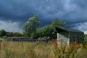 thundery rain coming - www.growourown.blogspot.com ~ an ecotherapy blog 